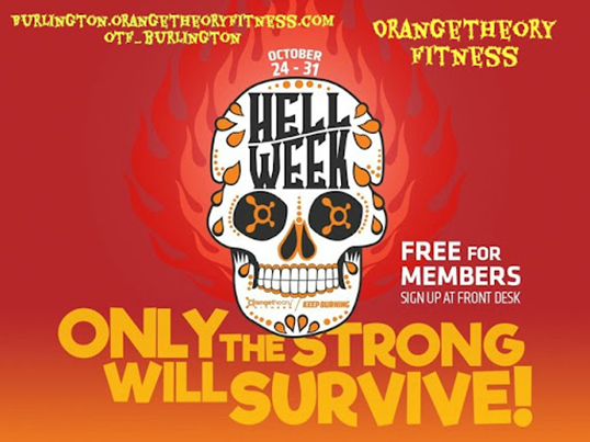 Orangetheory Fitness – A lesson in generating loyalty - Loyalty & Reward Co