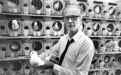 Inject randomness into your loyalty program to boost engagement