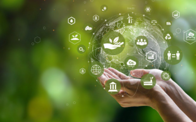 How Sustainability is Reshaping Loyalty